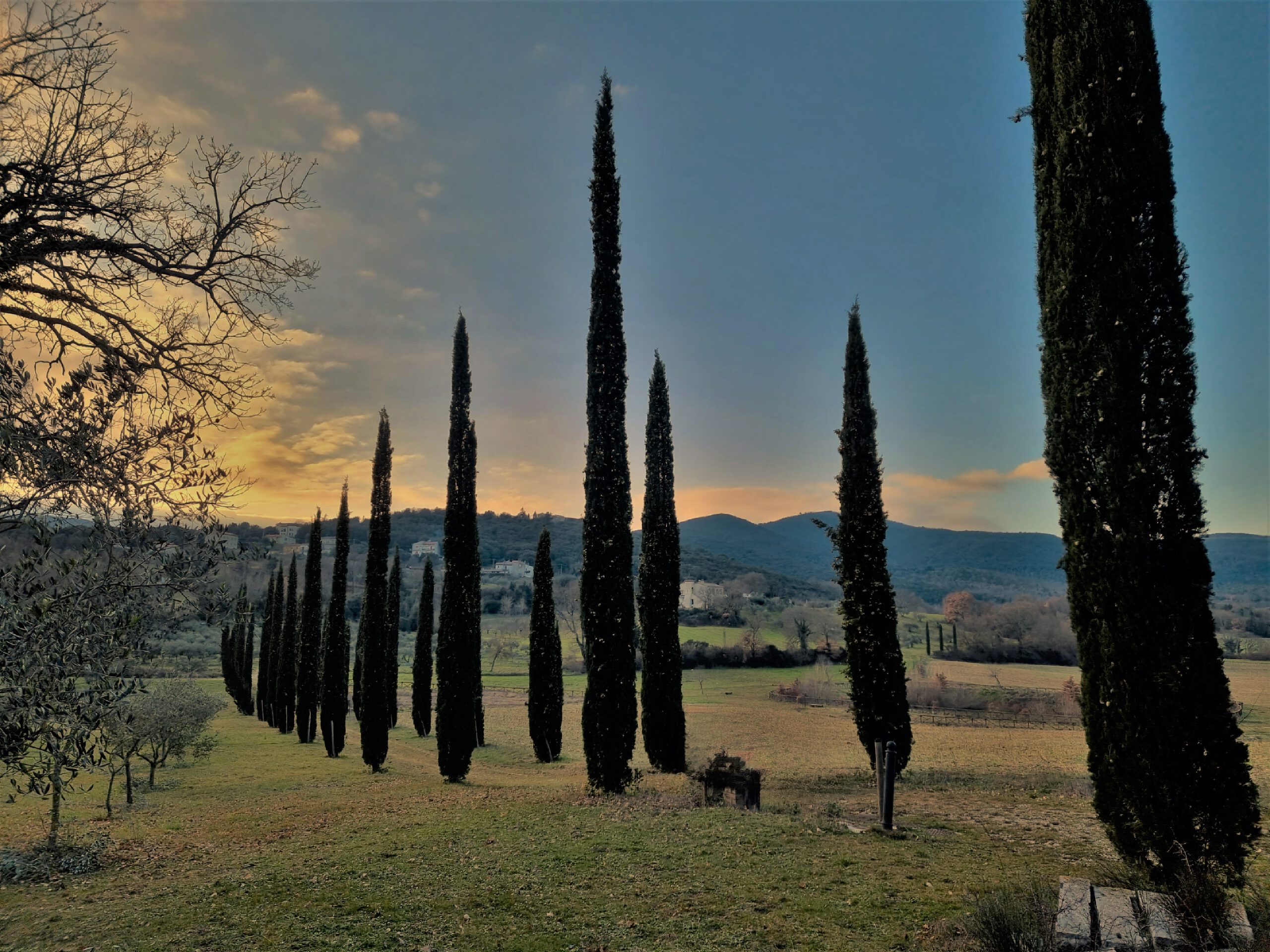 Wedding venue